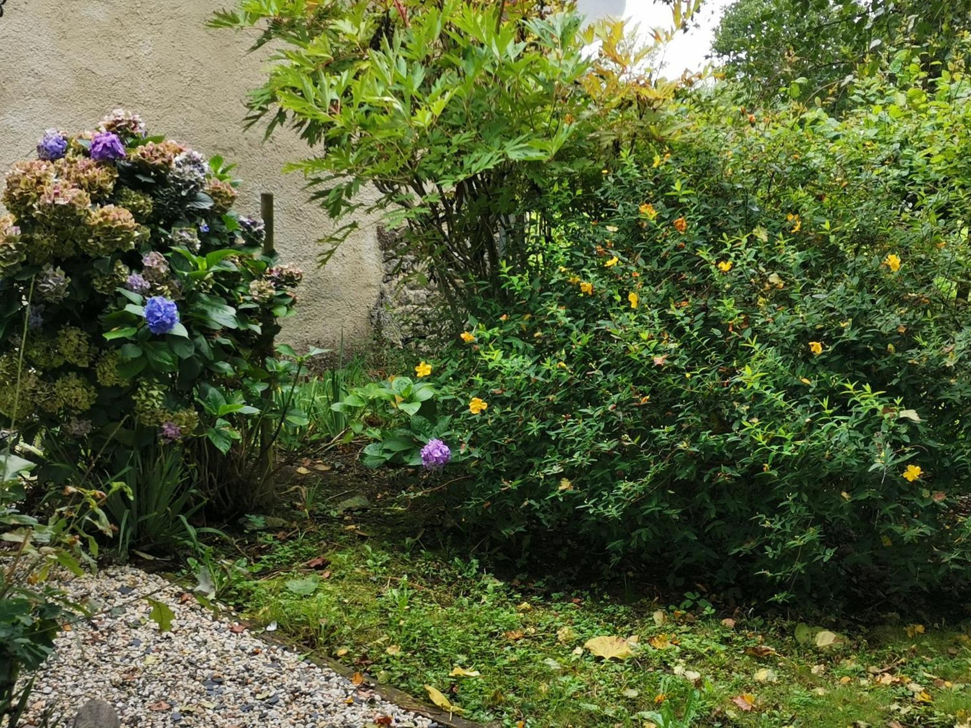 Les Brassins Du Dillon Villa Moyon Exteriör bild