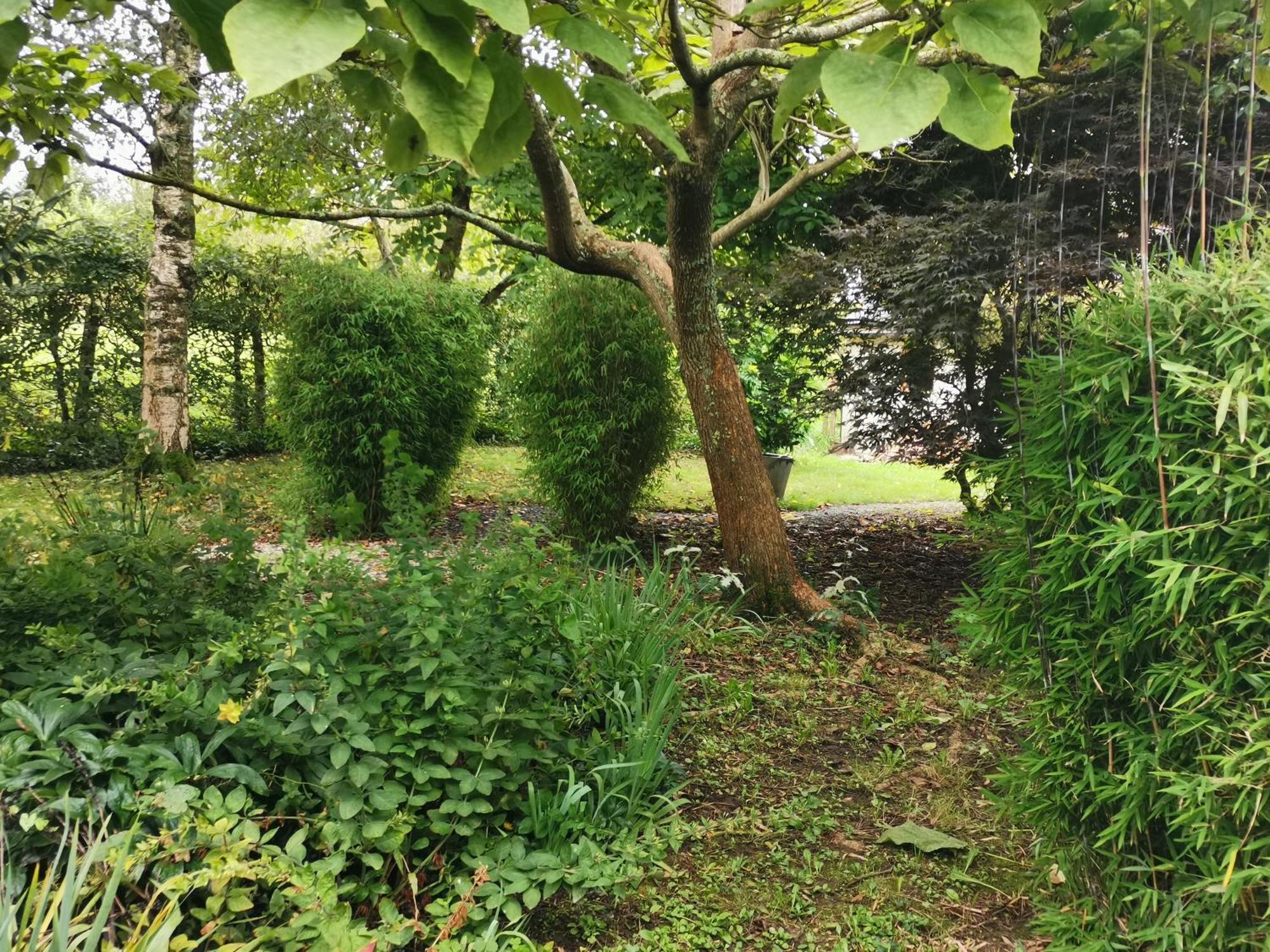 Les Brassins Du Dillon Villa Moyon Exteriör bild